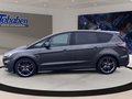 Daumennagel 8 - Ford S-Max ST-Line + Panorama + LED + ACC