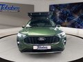 Daumennagel 2 - Ford Kuga Titanium Winterp.+Tempom.+Klima