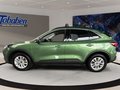Daumennagel 8 - Ford Kuga Titanium Winterp.+Tempom.+Klima