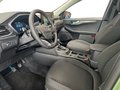 Daumennagel 10 - Ford Kuga Titanium Winterp.+Tempom.+Klima