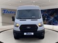 Daumennagel 2 - Ford Transit 350L3H2 Trend + ACC + 360 Kamera