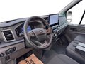 Daumennagel 12 - Ford Transit 350L3H2 Trend + ACC + 360 Kamera