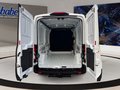 Daumennagel 15 - Ford Transit 350L3H2 Trend + ACC + 360 Kamera