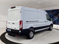 Daumennagel 4 - Ford Transit 350L3H2 Trend + ACC + 360 Kamera