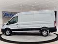 Daumennagel 7 - Ford Transit 350L3H2 Trend + ACC + 360 Kamera