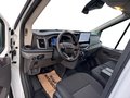 Daumennagel 10 - Ford Transit 350L3H2 Trend + ACC + 360 Kamera