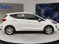 Daumennagel 3 - Ford Fiesta Cool&amp;Connect + Navi + Tempomat