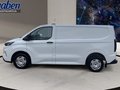 Daumennagel 8 - Ford Transit Custom 300 L1 Trend FWD + LED + Laderaum