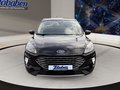 Daumennagel 2 - Ford Kuga 1.5 EcoBoost Titanium X Start/Stopp (EURO 6