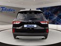 Daumennagel 6 - Ford Kuga 1.5 EcoBoost Titanium X Start/Stopp (EURO 6