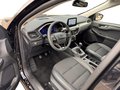 Daumennagel 10 - Ford Kuga 1.5 EcoBoost Titanium X Start/Stopp (EURO 6