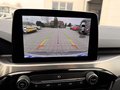 Daumennagel 22 - Ford Kuga 1.5 EcoBoost Titanium X Start/Stopp (EURO 6