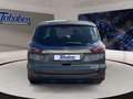 Daumennagel 6 - Ford S-Max 1.5 EcoBoost Titanium S/S (EURO 6d-TEMP) T