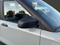 Daumennagel 22 - Ford Tourneo Courier Trend Kamara/LED/Garantie