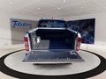 Daumennagel 16 - Ford Ranger Wildtrack 4x4 Doppelkabine + Standheizung