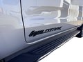 Daumennagel 8 - Ford Ranger Wildtrack 4x4 Doppelkabine + Standheizung