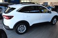 Daumennagel 2 - Ford Kuga Titanium 2,5l PHEV AHK/360/ACC/MATRIX