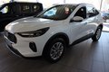 Daumennagel 4 - Ford Kuga Titanium 2,5l PHEV AHK/360/ACC/MATRIX