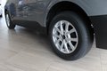 Daumennagel 17 - Ford Tourneo Courier Titanium 1.0l EcoBoost ACC/TWA/