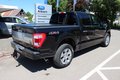 Daumennagel 2 - Ford F-150 Platinum 3,5l V6 Ecoboost ACC/PANO/TWA/ROLLO