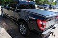 Daumennagel 3 - Ford F-150 Platinum 3,5l V6 Ecoboost ACC/PANO/TWA/ROLLO