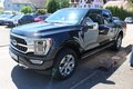 Daumennagel 4 - Ford F-150 Platinum 3,5l V6 Ecoboost ACC/PANO/TWA/ROLLO