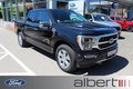 Daumennagel 1 - Ford F-150 Platinum 3,5l V6 Ecoboost ACC/PANO/TWA/ROLLO