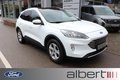 Daumennagel 1 - Ford Kuga Titanium X 2,5l PHEV PANO/AHK/ACC/SHZ