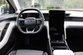 Daumennagel 10 - Ford Explorer 77kWh RWD TWA/iACC/360/HUD/19