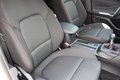Daumennagel 5 - Ford Focus Turnier Hybrid ST-Line ACC/RFK/TWA/NAVI
