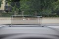 Daumennagel 14 - Ford Focus Turnier ST-LineX 1.0l Hybrid HUD/AHK/ACC