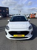 Daumennagel 2 - Ford Fiesta AHK Klima Lenkradhzg