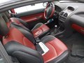 Daumennagel 2 - Peugeot 206 CC