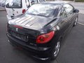 Daumennagel 4 - Peugeot 206 CC