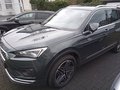 Daumennagel 2 - SEAT Tarraco 1.5 TSI ACT Xcellence OPF