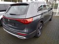 Daumennagel 4 - SEAT Tarraco 1.5 TSI ACT Xcellence OPF