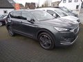 Daumennagel 1 - SEAT Tarraco 1.5 TSI ACT Xcellence OPF