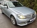 Daumennagel 2 - Mercedes-Benz C 220 C T CDI BlueEfficiency Avantgarde