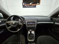 Daumennagel 9 - Skoda Octavia Combi Ambition 4X4 TDi 4x4 Xenon Tempomat