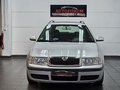 Daumennagel 2 - Skoda Octavia Combi Tour