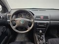 Daumennagel 11 - Skoda Octavia Combi Tour