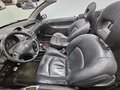 Daumennagel 10 - Peugeot 206 Cabriolet CC Platinum LEDER
