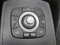 Daumennagel 16 - Renault Scenic III Navi AHK Sound-System Bose