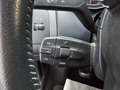 Daumennagel 17 - SEAT Ibiza 1.2 Style Viva