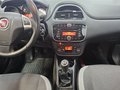 Daumennagel 10 - Fiat Punto More