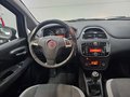 Daumennagel 11 - Fiat Punto More