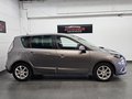 Daumennagel 7 - Renault Scenic III dCi Dynamique Navi Tempomat