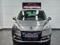 Daumennagel 2 - Renault Scenic III dCi Dynamique Navi Tempomat