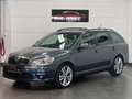 Daumennagel 4 - Skoda Octavia Combi RS TDi 2.0 NAVI ESD AHK BI-XENON Leder