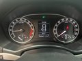 Daumennagel 15 - Skoda Octavia Combi RS TDi 2.0 NAVI ESD AHK BI-XENON Leder